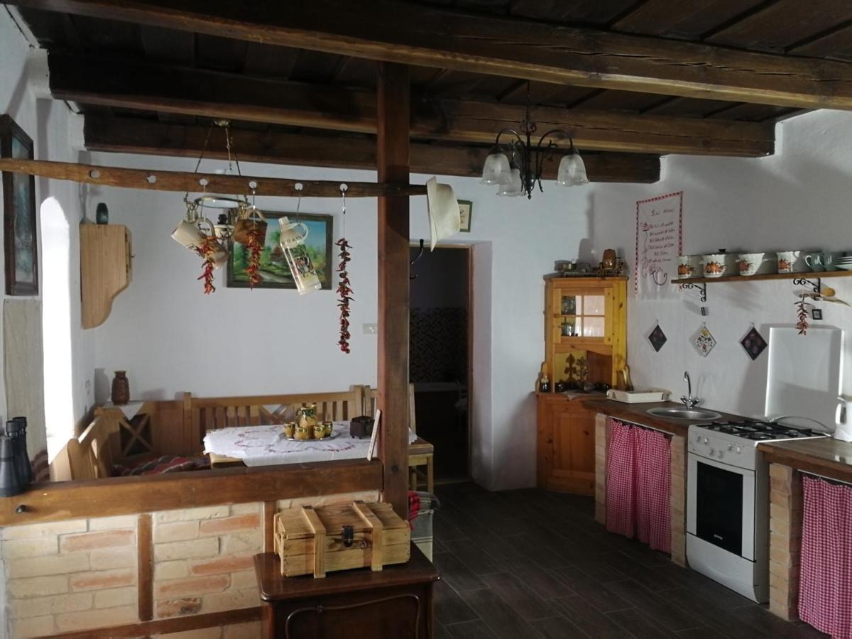Traditionelles Bauernhaus Flieder Zalaszentgrot Luaran gambar